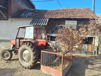 Badnji dan Badnji dan