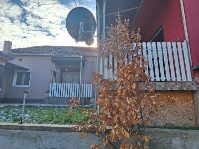 Badnji dan Badnji dan