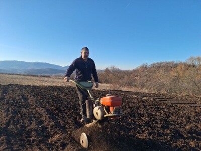 Kako Jakovčanke sade gradinu?
