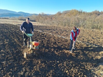 Kako Jakovčanke sade gradinu?