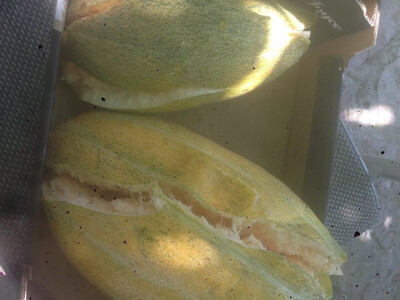 serif-dervisa-husidic-7 serif-dervisa-husidic-7