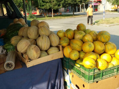 memišević memišević