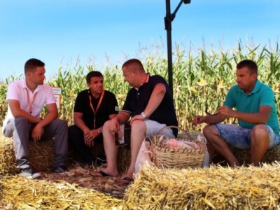 Ugodno druženje u hladovini