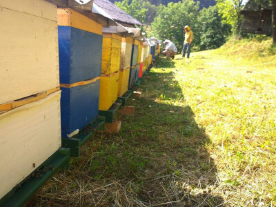 Pčelarstvo Nuhanović iz Bihaća