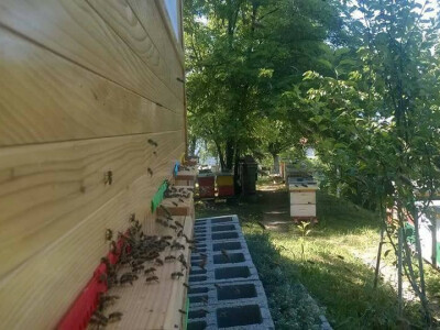 Pčelarstvo Nuhanović iz Bihaća