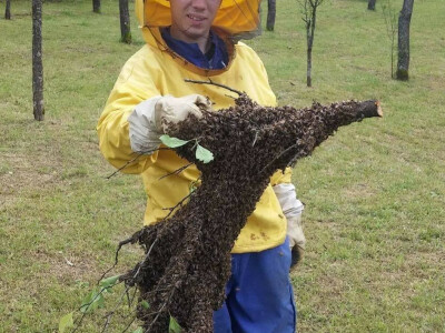 Pčelarstvo Nuhanović iz Bihaća