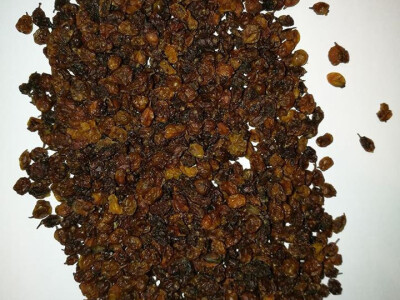 osušene bobice osušene bobice