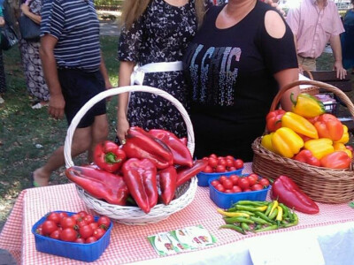 jasna-gojcic-proizvodi14