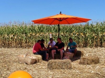 Opuštanje u slamnatim foteljama