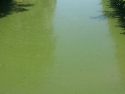 Zbog ekstremne suše zatraženo se od Bjelovarsko-bilogorske županije očekuje proglašenje elementarne nepogode