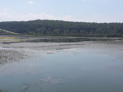 FOTO: Mihaela Ružička iz Ribnjačarstva Končanica