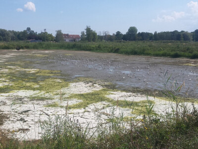 Zbog ekstremne suše zatraženo se od Bjelovarsko-bilogorske županije očekuje proglašenje elementarne nepogode