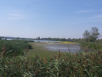 Zbog ekstremne suše zatraženo se od Bjelovarsko-bilogorske županije očekuje proglašenje elementarne nepogode