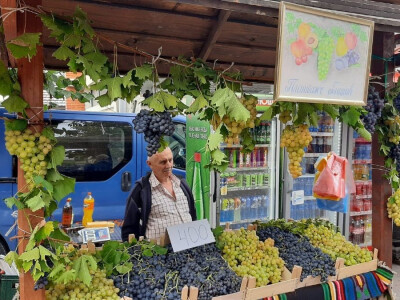 Glišići i ove godine izlagali najteže grozdove na Oplenačkoj berbi, foto: M. Lazarević