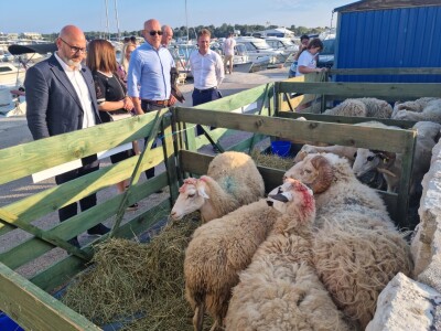 21. Izložba paške ovce i paškog sira uz 6. Sajam hrvatskih zaštićenih proizvoda