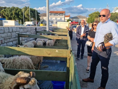 21. Izložba paške ovce i paškog sira uz 6. Sajam hrvatskih zaštićenih proizvoda
