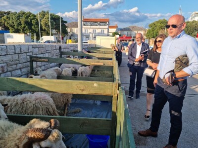 21. Izložba paške ovce i paškog sira uz 6. Sajam hrvatskih zaštićenih proizvoda