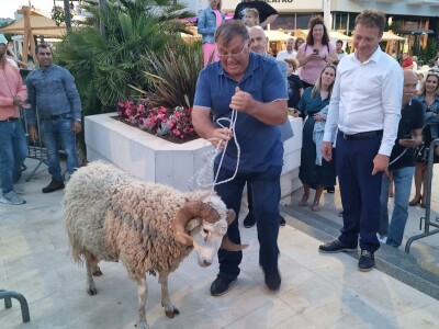 21. Izložba paške ovce i paškog sira uz 6. Sajam hrvatskih zaštićenih proizvoda