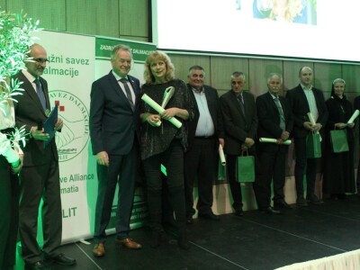 21. Noćnjak, okupljanje maslinara u Neumu