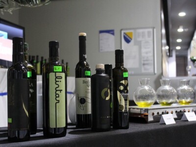 21. Noćnjak, okupljanje maslinara u Neumu