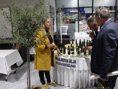 21. Noćnjak, okupljanje maslinara u Neumu