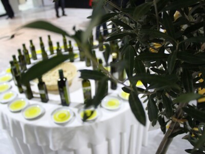 21. Noćnjak, okupljanje maslinara u Neumu