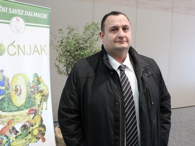 21. Noćnjak, okupljanje maslinara u Neumu