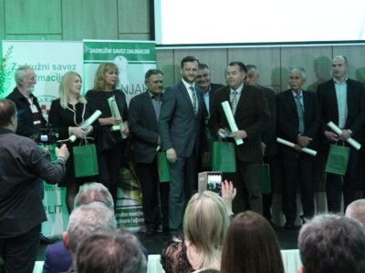 21. Noćnjak, okupljanje maslinara u Neumu