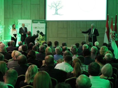 21. Noćnjak, okupljanje maslinara u Neumu