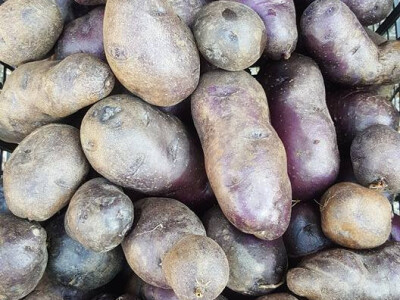 Plodovi plavog krumpira