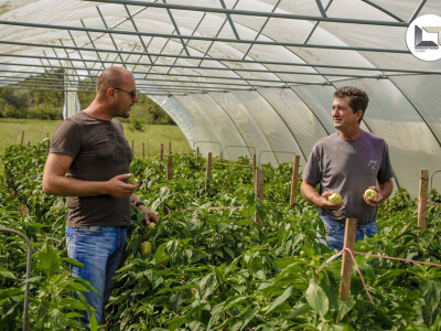 Blagojević i Račić