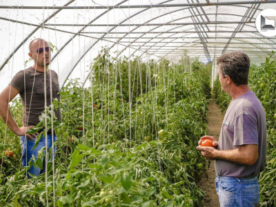 Blagojević i Račić