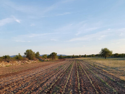 OPG Malenica OPG Malenica