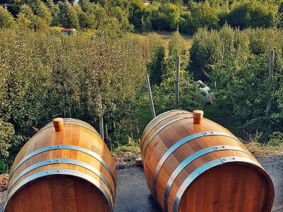 Imanje Rajnovača - rakije i likeri