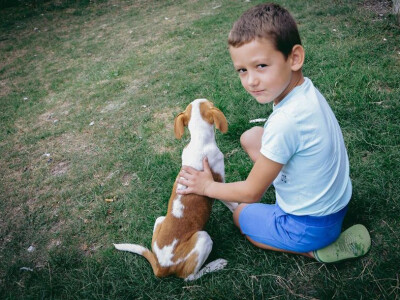 Neven se druži i sa psom ljubimcem