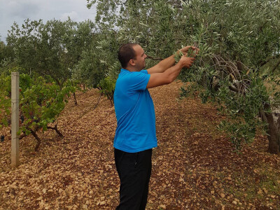 OPG Malenica OPG Malenica