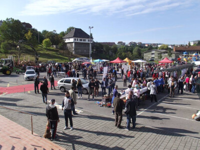 udruzenje-pcelara-kesten3 udruzenje-pcelara-kesten3