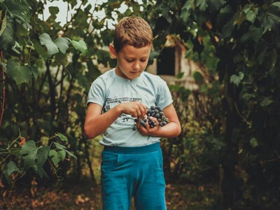 Neven Škorić obožava selo i prirodu