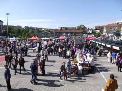 udruzenje-pcelara-kesten5 udruzenje-pcelara-kesten5