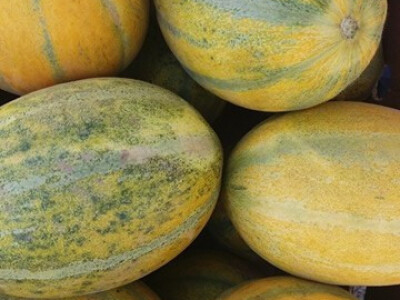 memišević6 memišević6