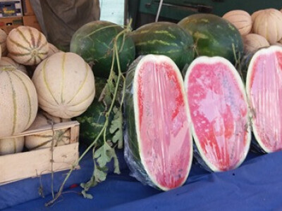 memišević4 memišević4