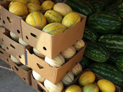 memišević9 memišević9