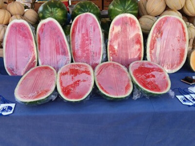 memišević8 memišević8