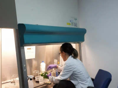 Laboratorijska proizvodnja