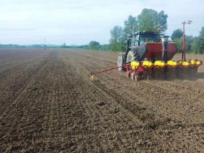 22. travnja, petnaesti dan; nastavak sjetve u Dubočcu zbog kiše