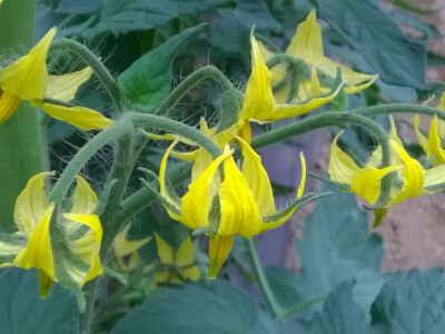 benjamin-crljenkovic-11