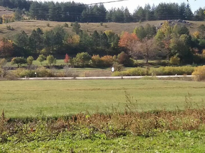 Porodica Vidović - tradicionalni proizvodi