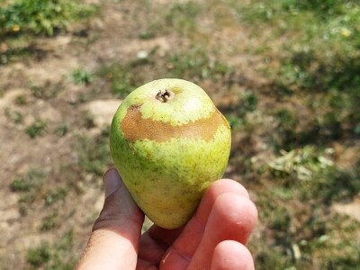 Nevrijeme u regii Banjaluka