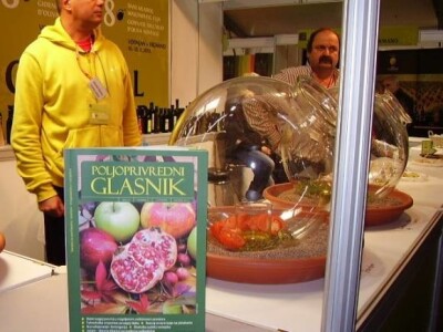 8. Dani mladog maslinovog ulja, Vodnjan