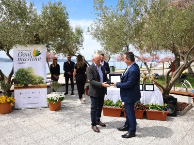 23. međunarodni Dani masline Zadar